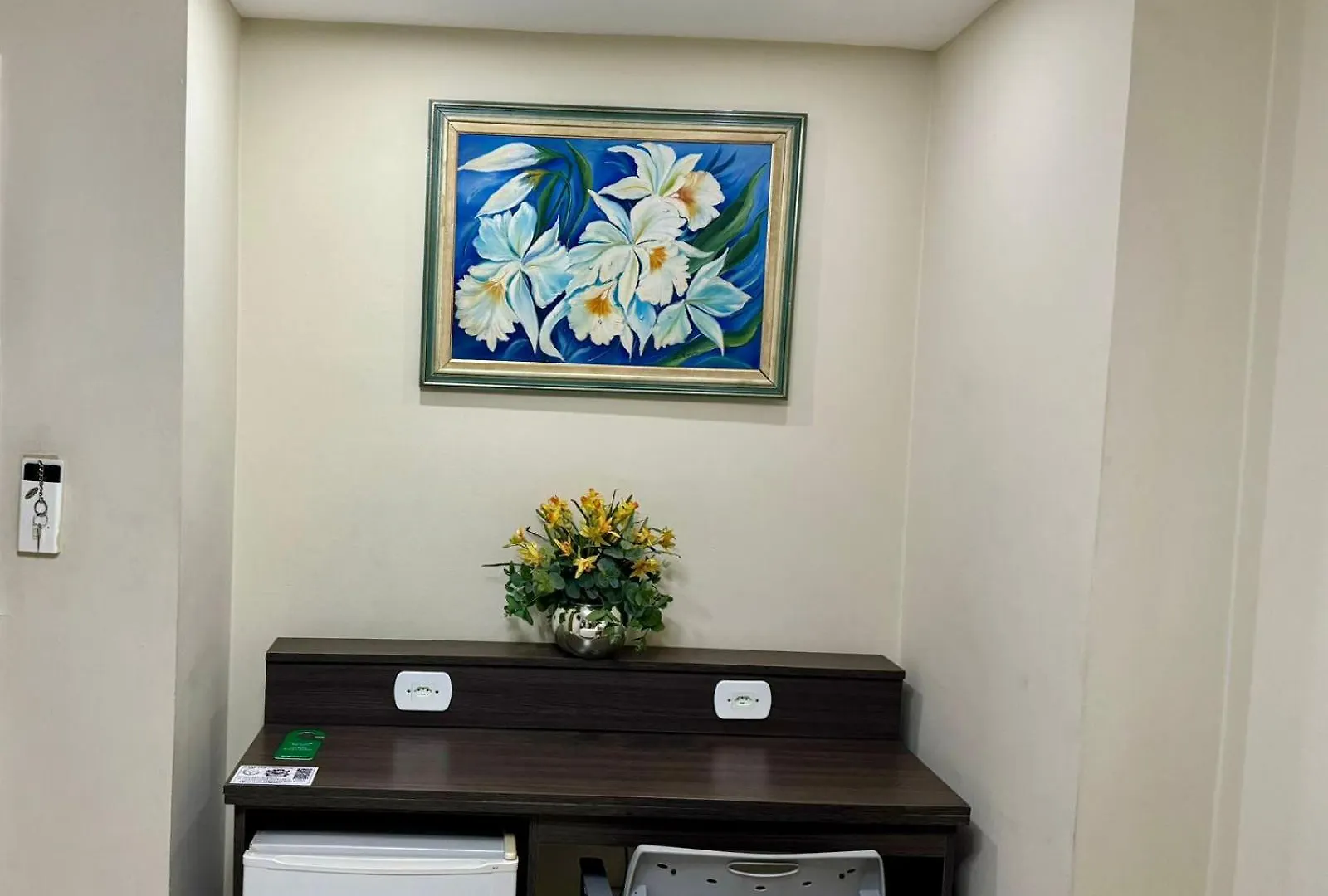 San Francisco Plazza Hotel 圣保罗 巴西